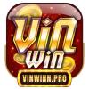 vinwinnpro's Photo