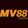 MV88site's Photo