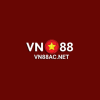 vn88acnet1's Photo