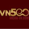 VN500's Photo