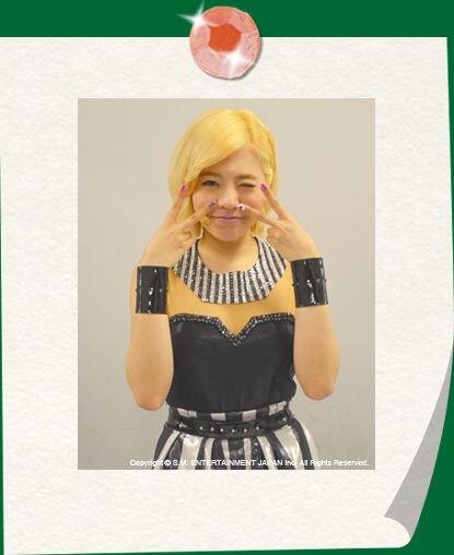 sunny sone plus 130404