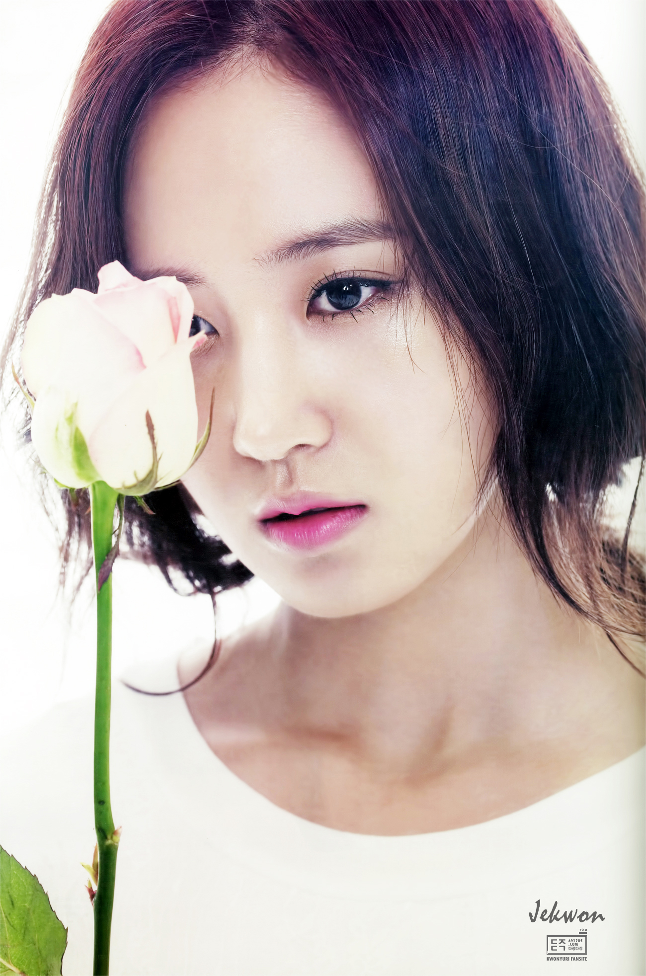 thestar12