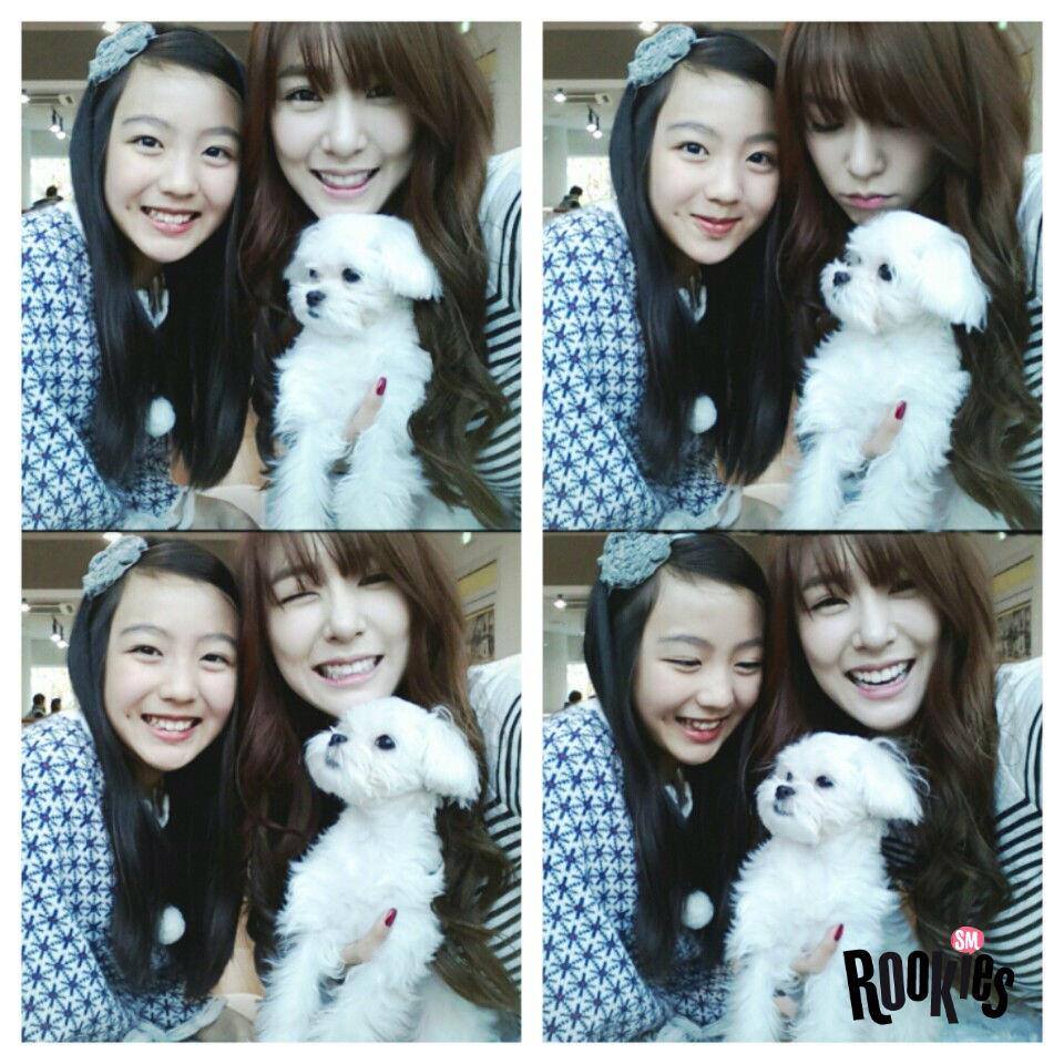 fanylami