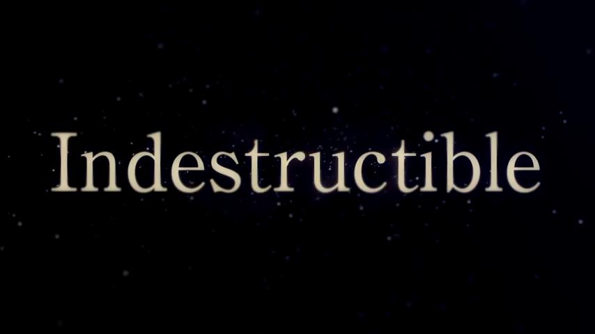 indestructiblelyric