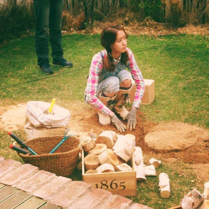 love rain 3