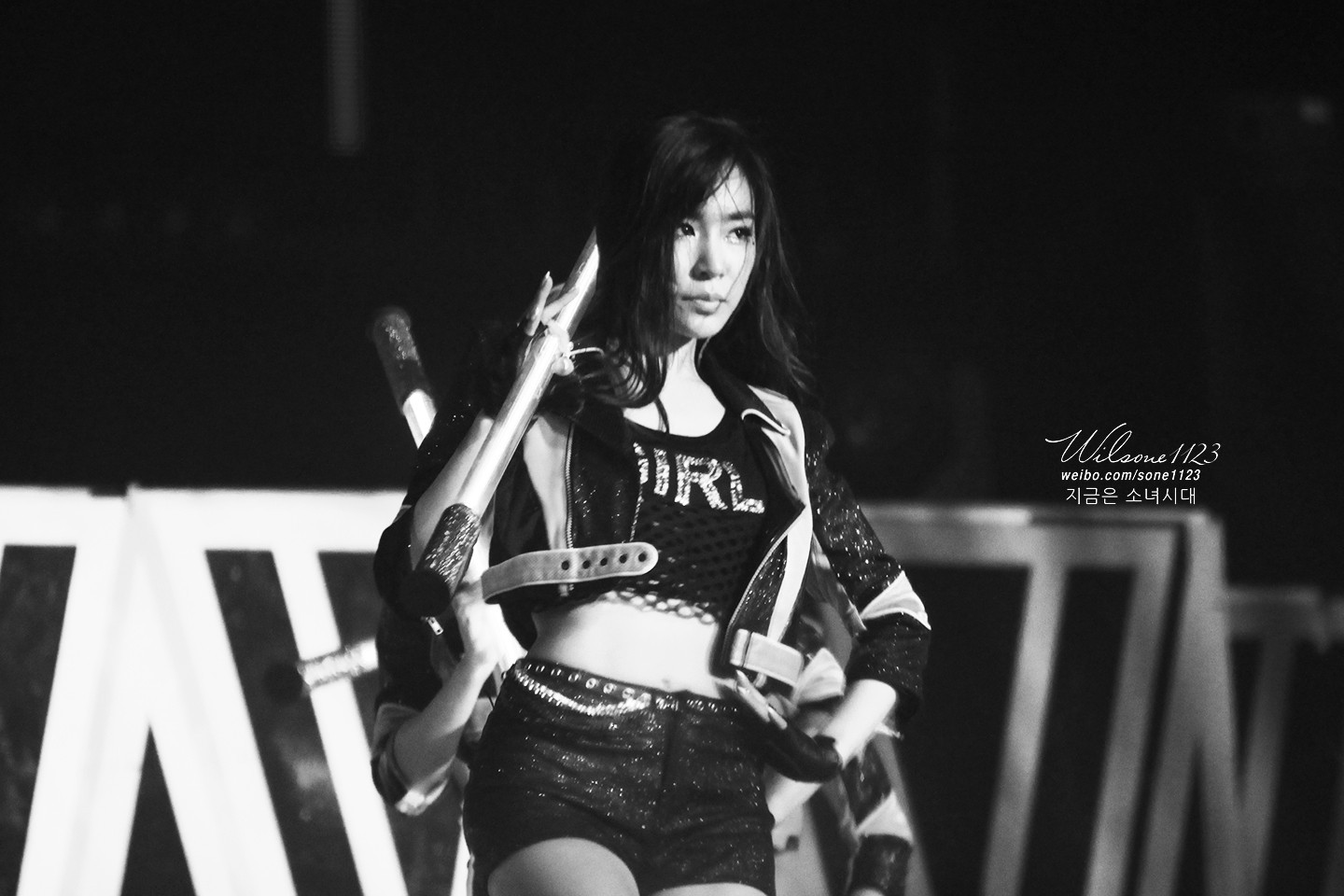 tiffany well holy fudge on a shark