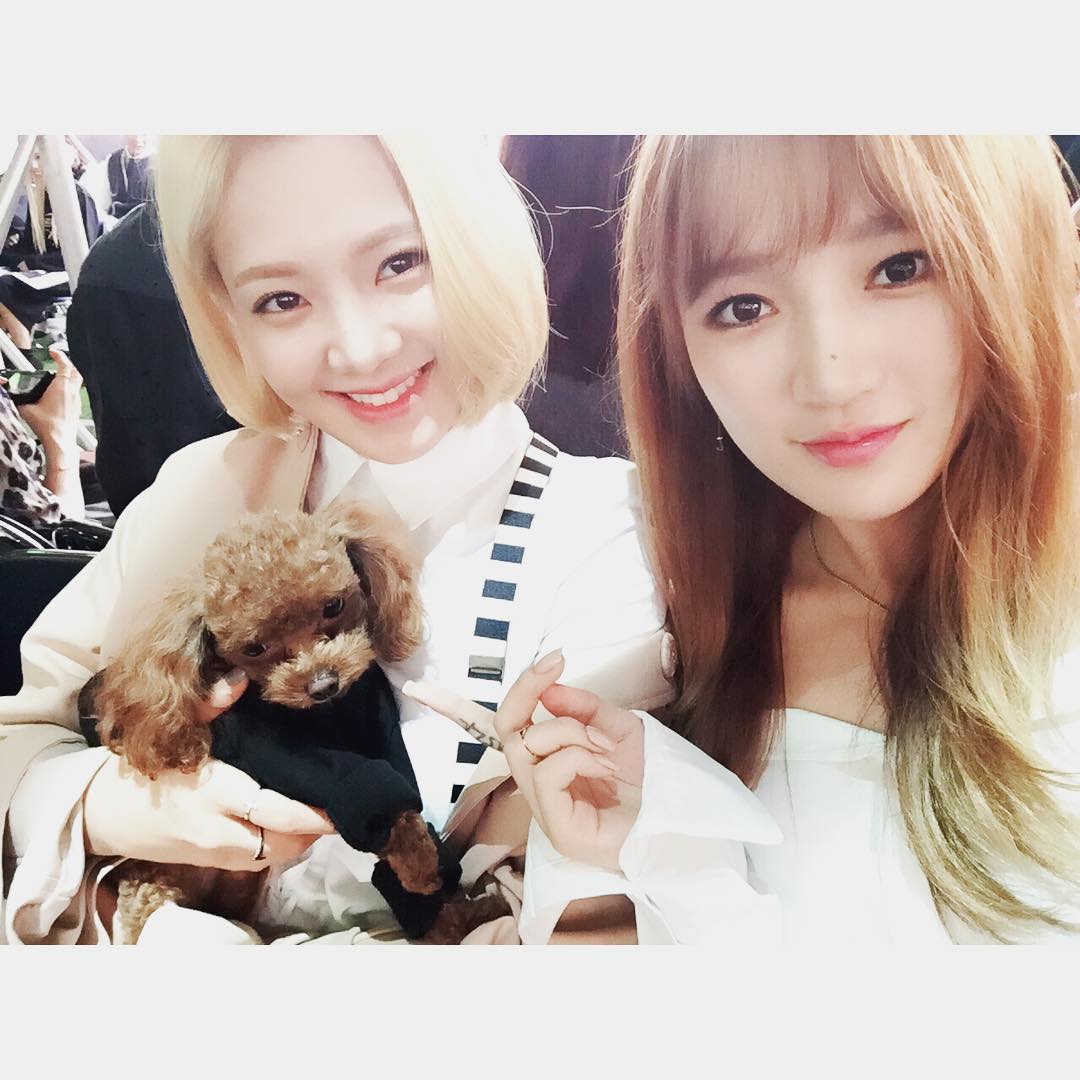 hyoyeon jia