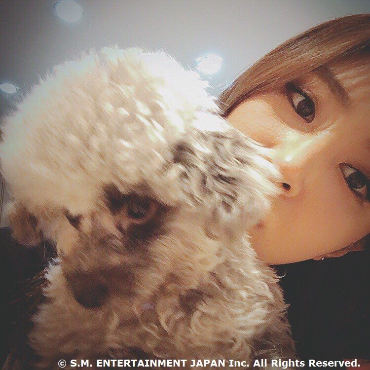 yuri sone japan