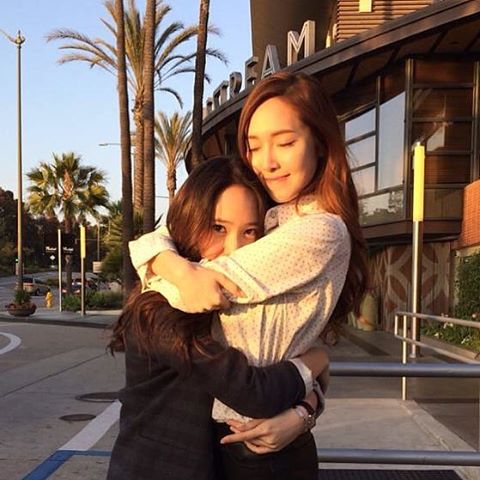 jungsis fly