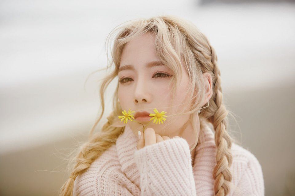 taeyeon the vegetarian